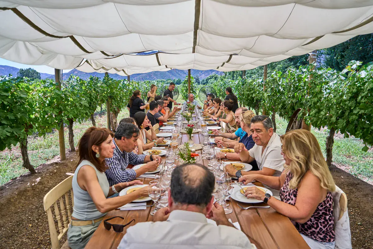 Lunch at the long table under the awning, among the vines, with the mountains behind