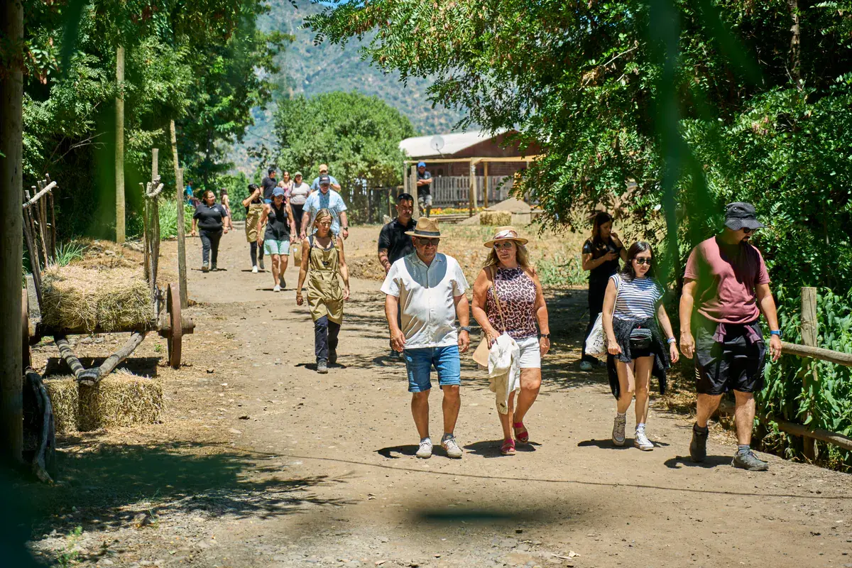 The group walks down a dirt track under the trees, past a cart loaded with hay bales