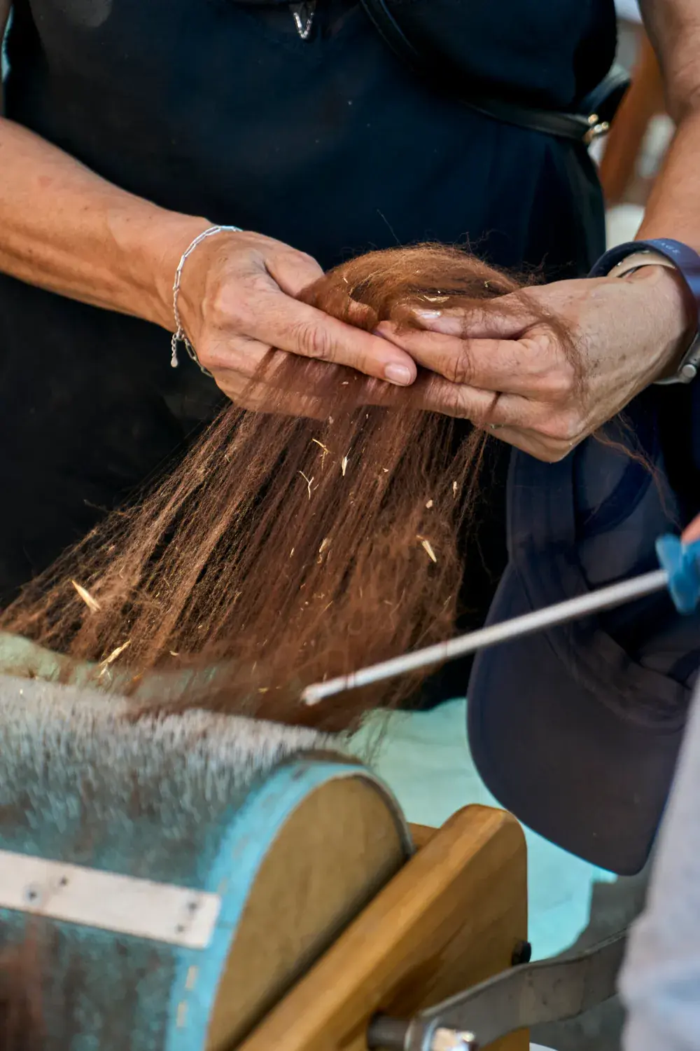 Hands hold carded alpaca fibre in front of a drum carder