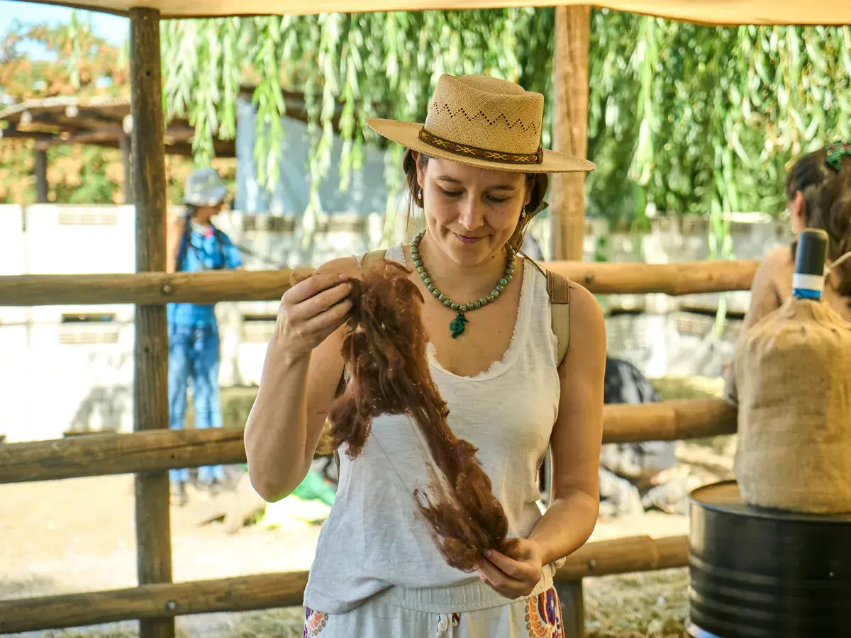 A visitor in a straw hat smiles at a tuft of alpaca fibre