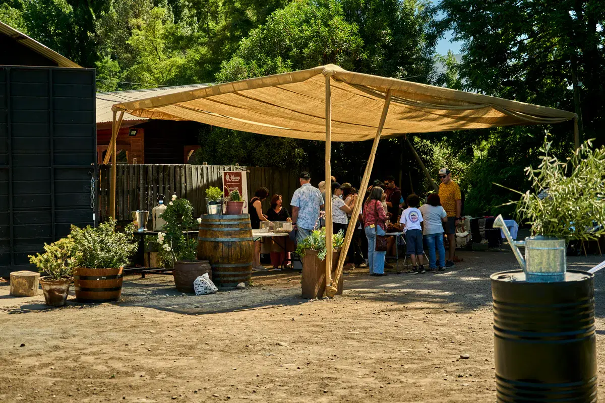 The burlap awning with barrels and plant pots where the group gathers