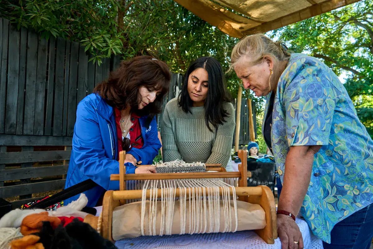 Three participants look at a loom strung with a raw wool warp