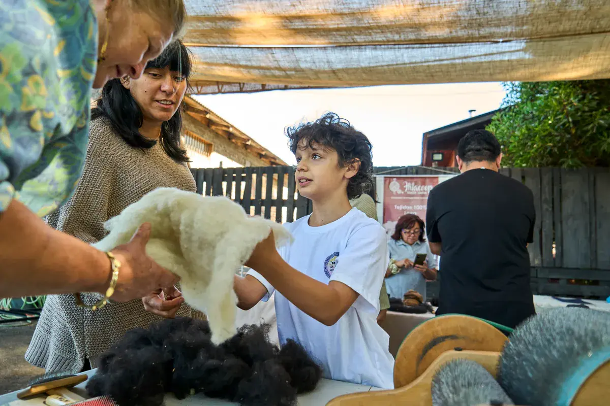 An artisan hands a boy a clean white fleece, next to the raw fibre