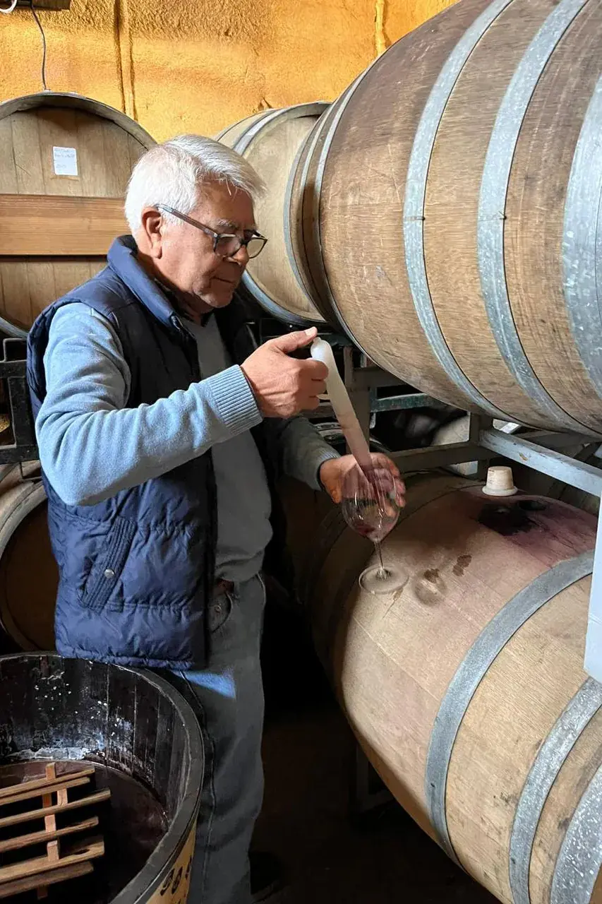 A visitor draws wine from the barrel with a pipette and pours it into a glass
