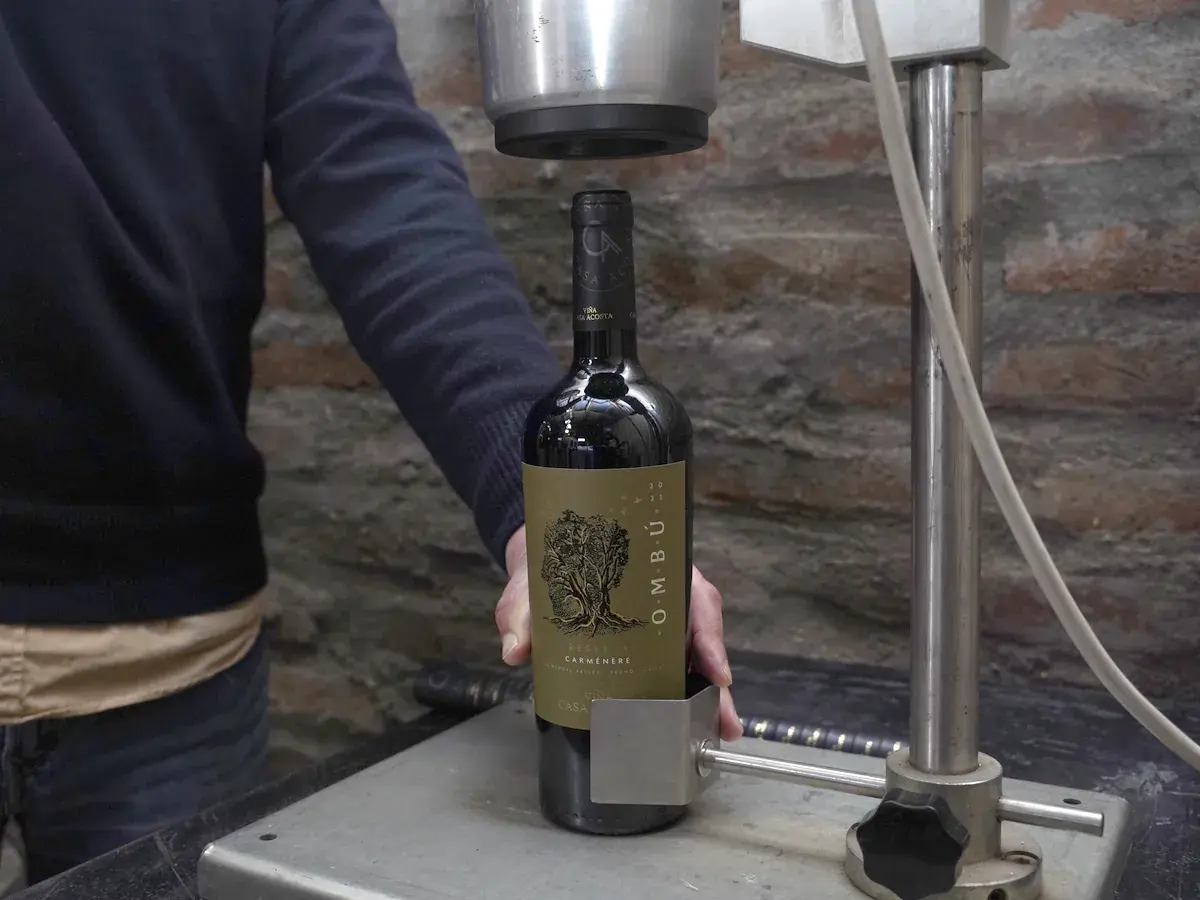 A bottle of Ombú Reserva Carménère 2021 in the dim light of the cellar
