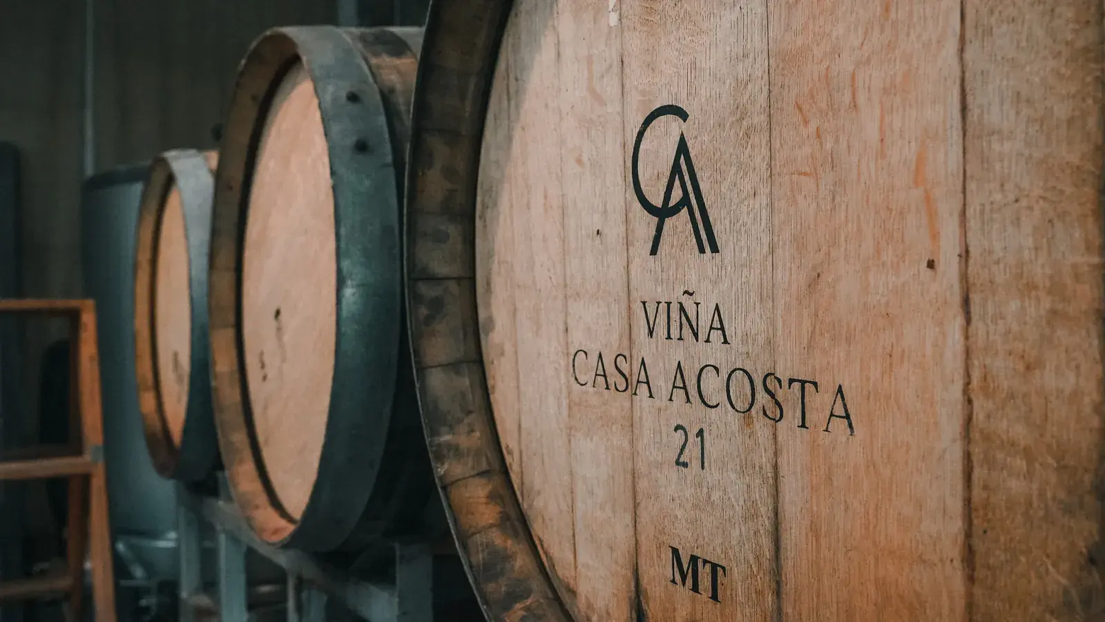Oak barrels engraved with the Viña Casa Acosta name, in the barrel room