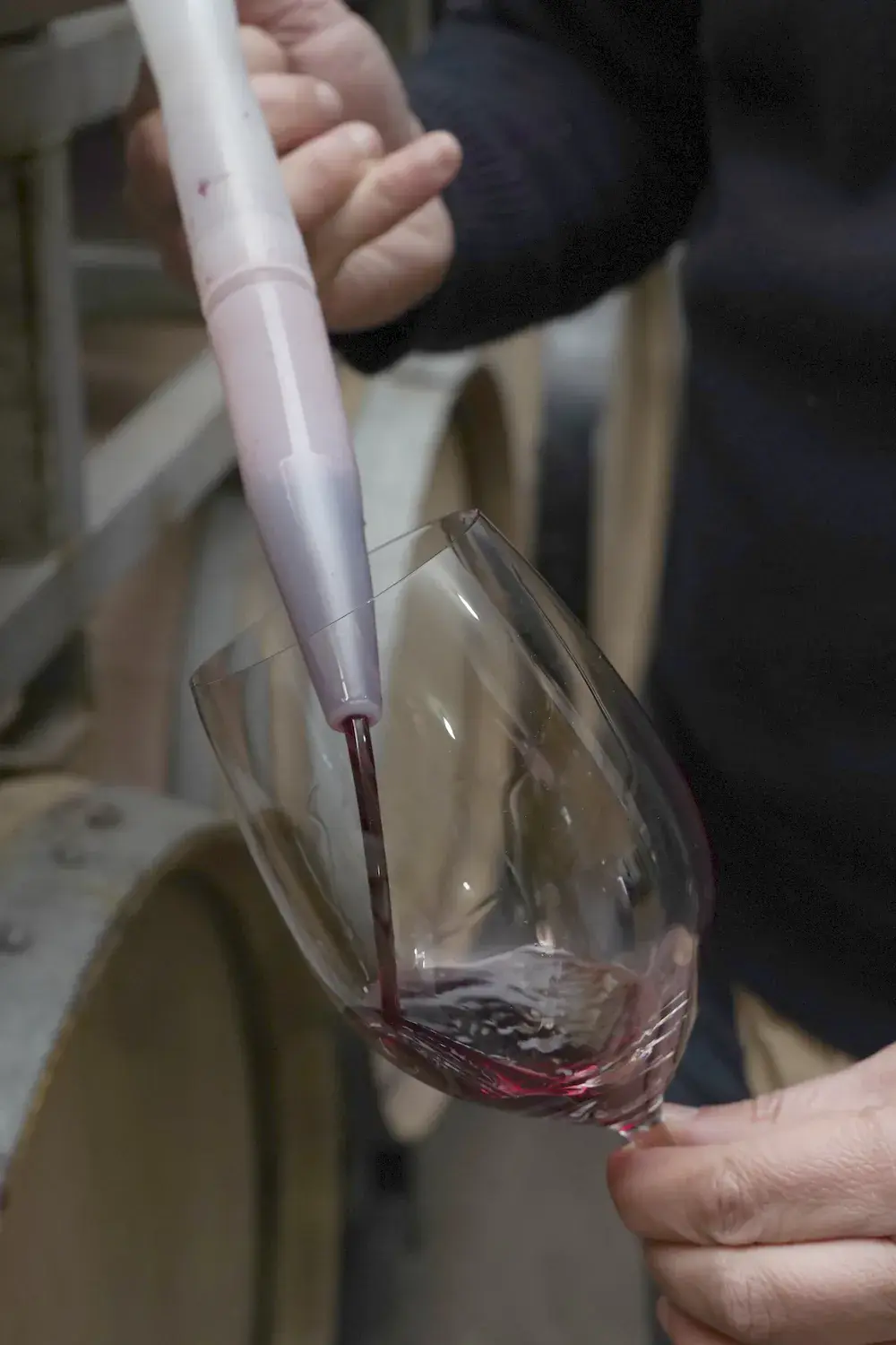Red wine flows from a cellar pipette into a glass, beside the barrels