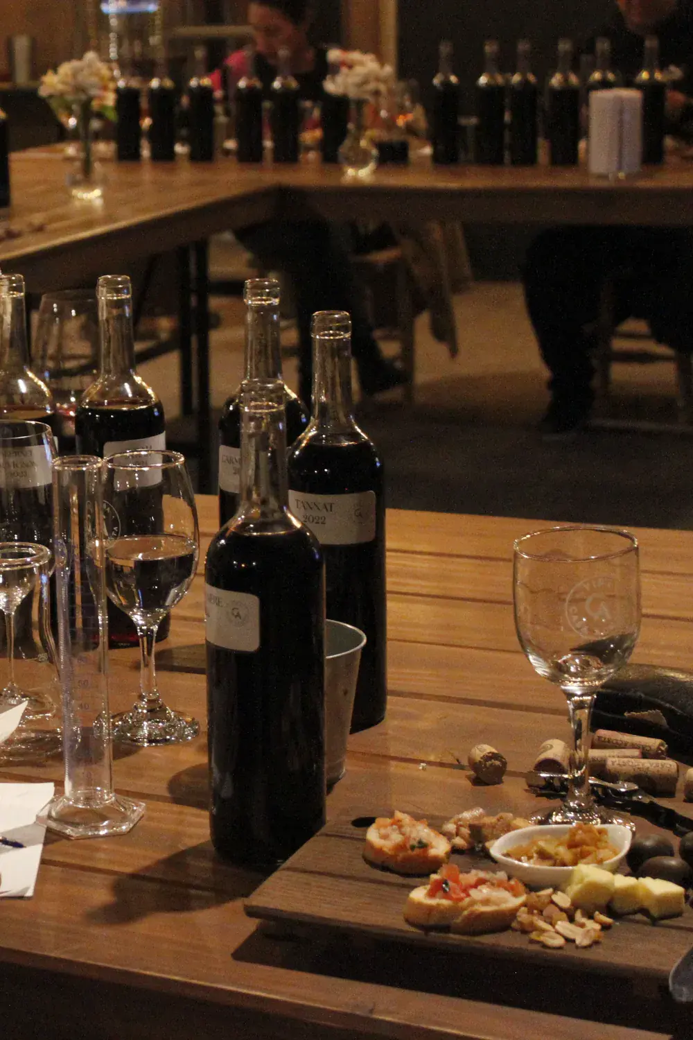 Bruschetta, cheese and nuts beside the bottles and glasses, during the pairing break
