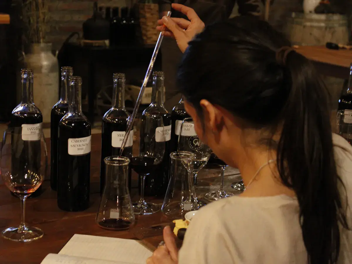 A participant measures a wine sample with a pipette, in front of bottles labelled by grape