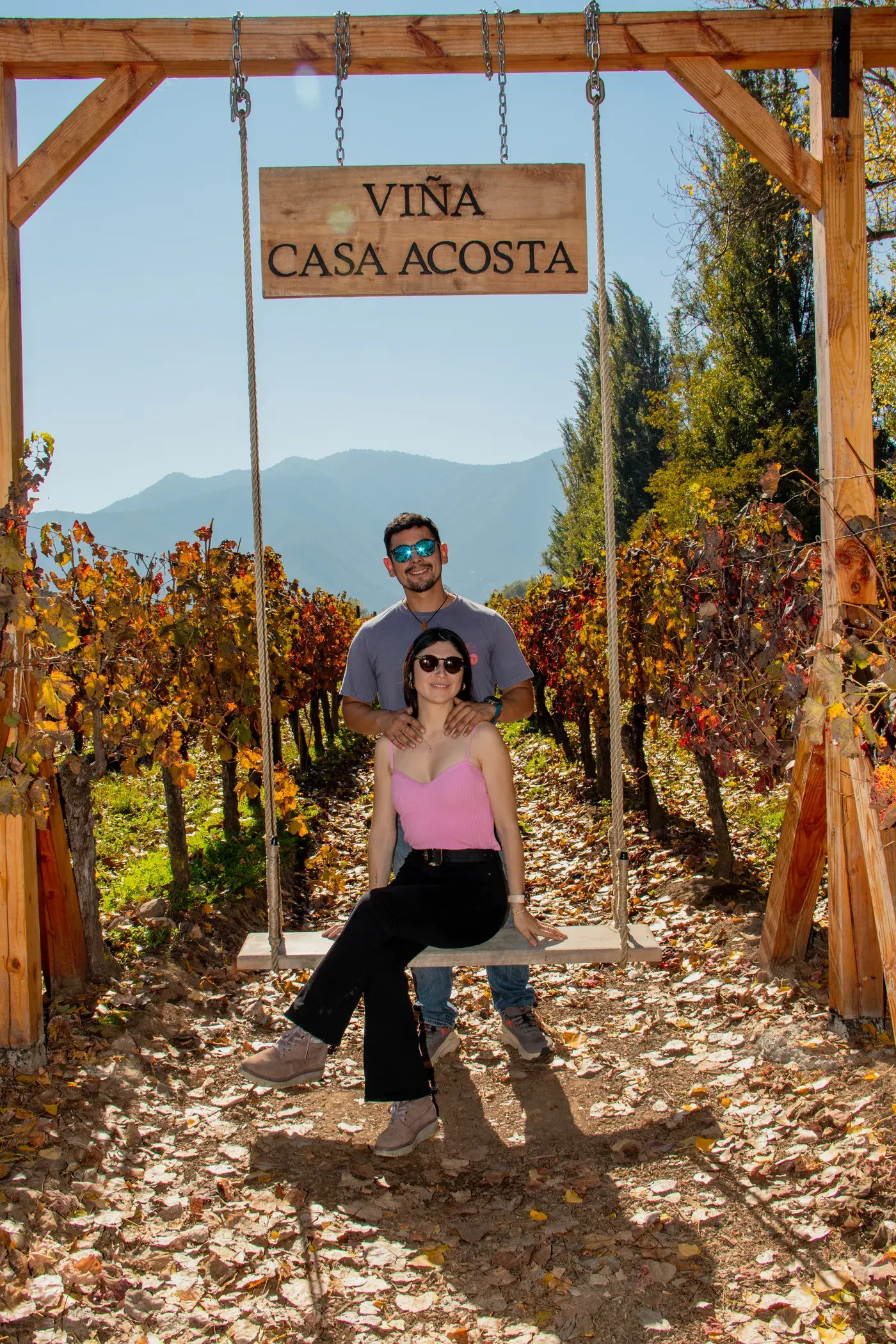 Pareja en un columpio entre las parras del viñedo
