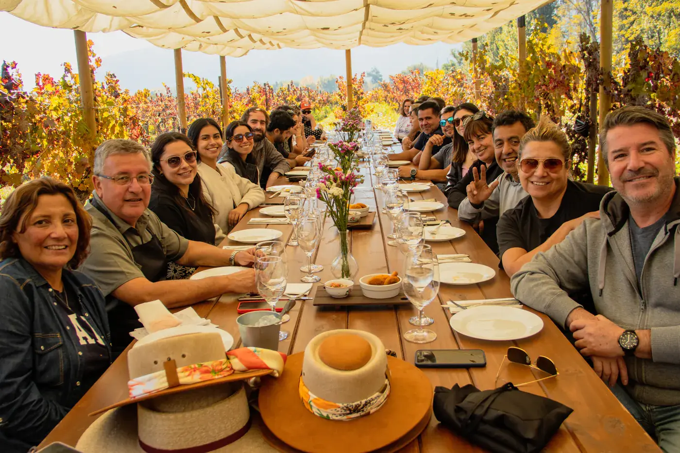 The long lunch table under the awning, with the guests seated among the vines