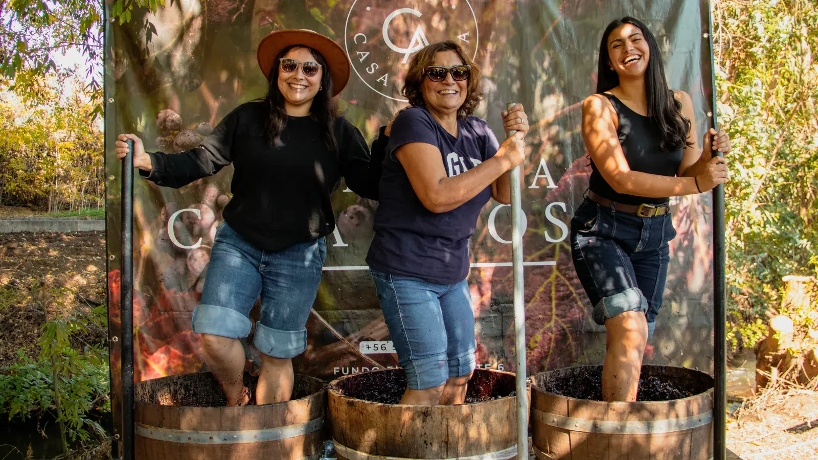 Three guests treading grapes standing in barrels, in front of the Viña Casa Acosta banner
