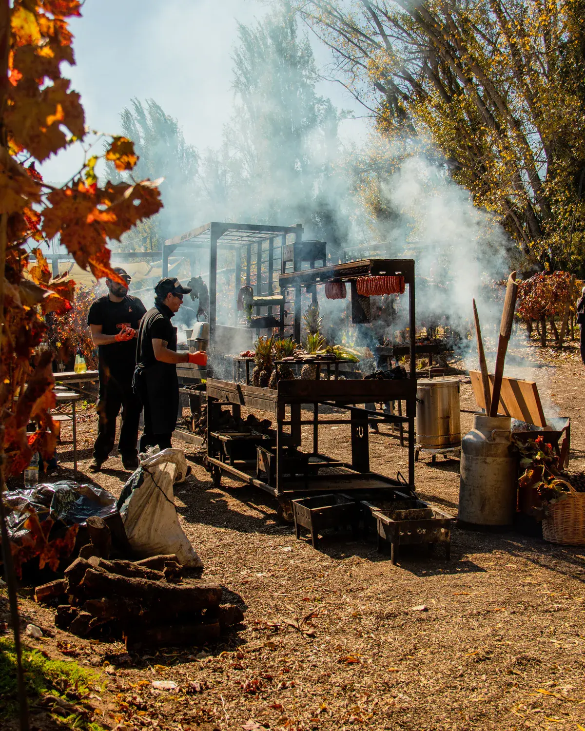Asado al aire libre entre los viñedos