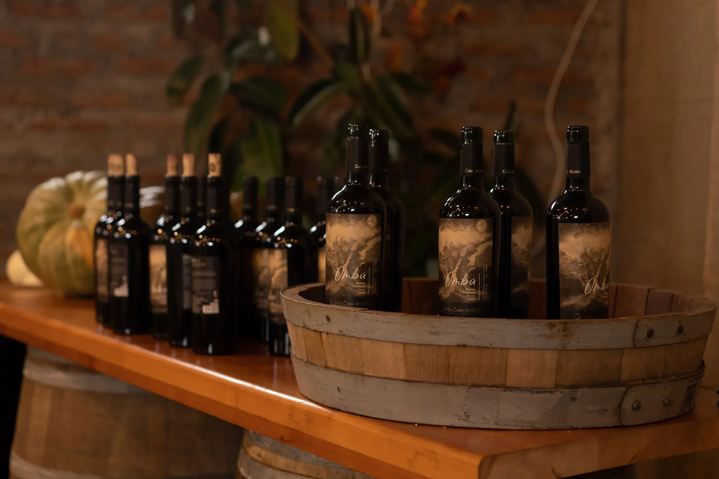 Botellas de la línea Ombú Reserva