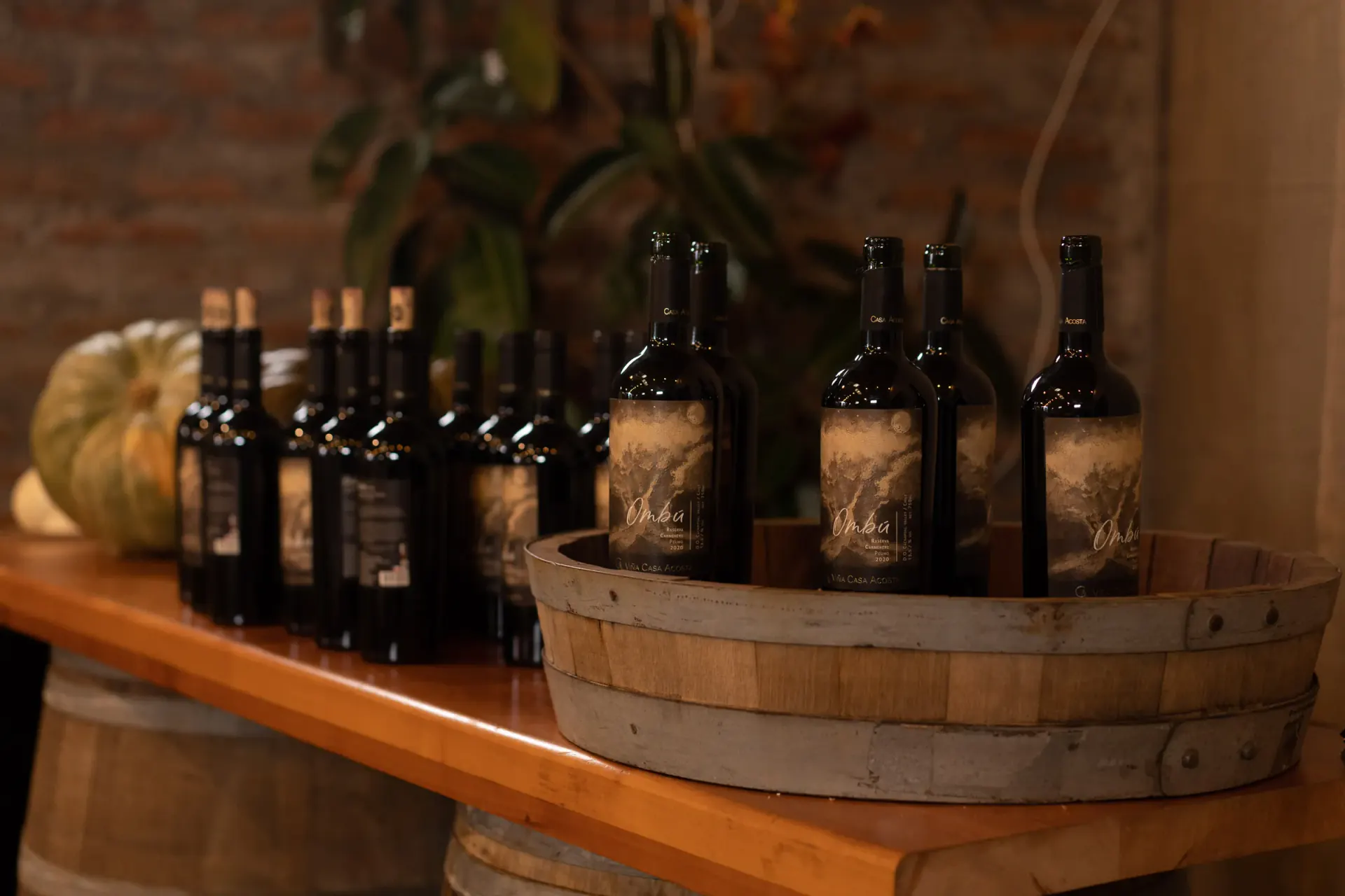 Botellas de Ombú Reserva Carménère de Viña Casa Acosta sobre una mesa de madera, iluminadas con luz cálida
